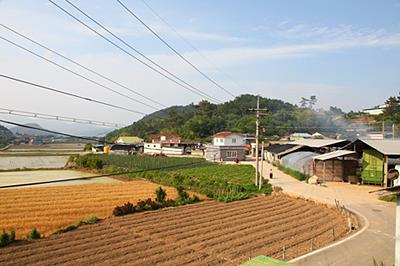 고이리 입구 썸네일 이미지