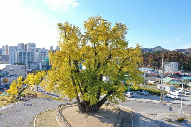 대표시청각 이미지