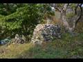 신암리 대전 돌탑 전경 썸네일 이미지