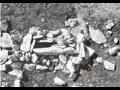 삼락리 풍암 유적-1호 지석묘 썸네일 이미지