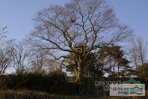 대표시청각 이미지