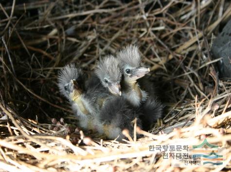 대표시청각 이미지