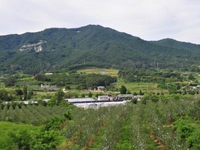 송학산 전경 썸네일 이미지