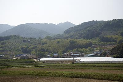 안계리 썸네일 이미지