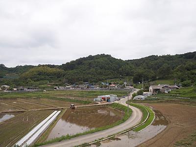 박달리 집홀마을 썸네일 이미지