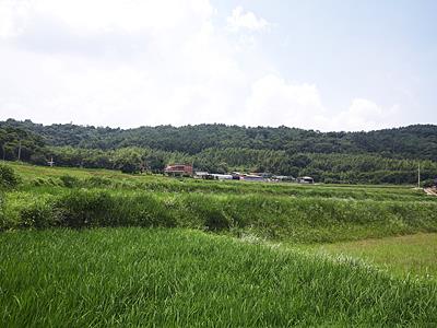 박달리 유물 산포지 전경 썸네일 이미지