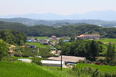 고룡리 썸네일 이미지