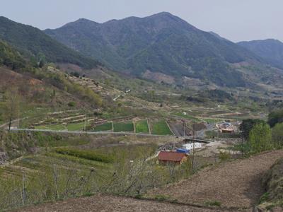 등촌리 덕기마을 썸네일 이미지