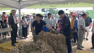 산수향 육쪽마늘축제 썸네일 이미지