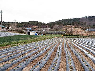 예덕리 썸네일 이미지