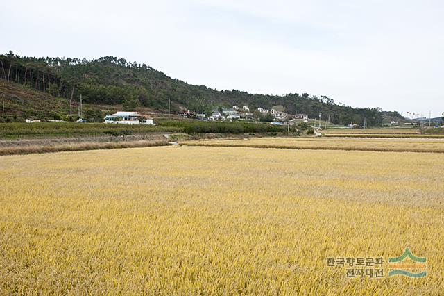 대표시청각 이미지