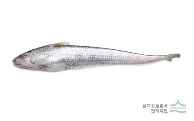 대표시청각 이미지