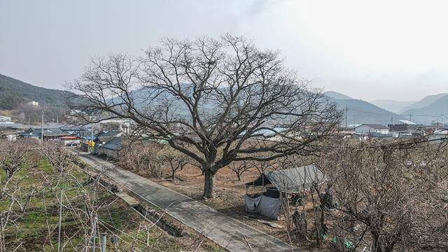 대표시청각 이미지